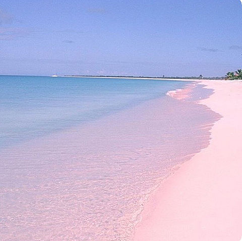 ピンクサンドビーチの画像(プリ画像)