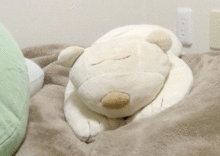まさの抱き枕の画像(全日本バレーに関連した画像)
