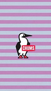 CHUMSの画像(チャムスに関連した画像)