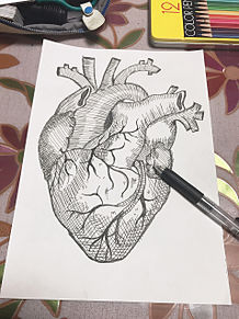 心臓 イラストの画像点 完全無料画像検索のプリ画像 Bygmo