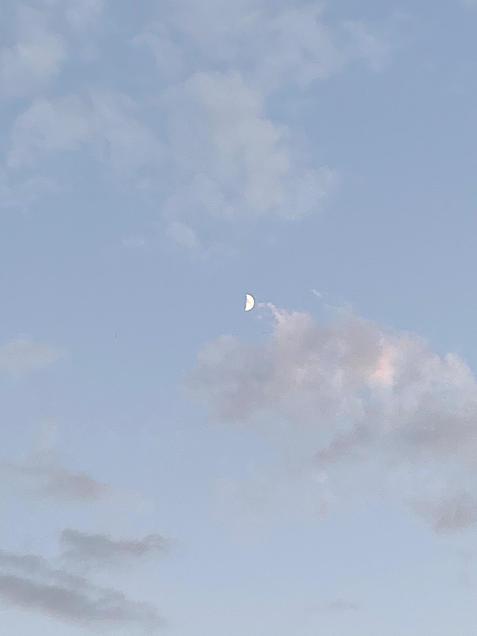 半月の画像(プリ画像)