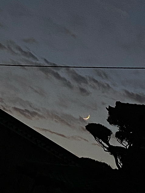 夜の月の画像(プリ画像)