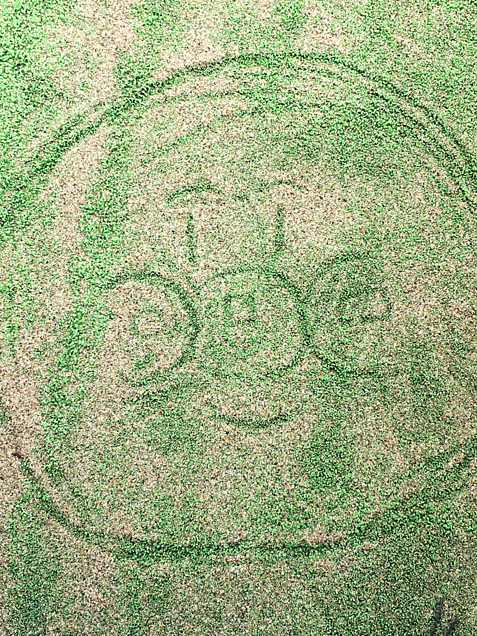アンパンマンをテニスコートの芝生で描いてみたwwwの画像(プリ画像)