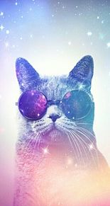 宇宙 猫 壁紙の画像26点 完全無料画像検索のプリ画像 Bygmo