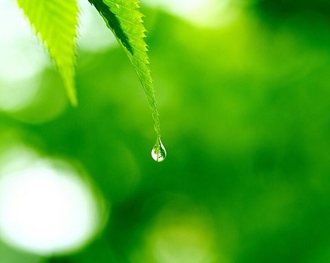 drop of waterの画像(プリ画像)