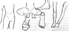 脚と足とかの画像(足 描き方 イラストに関連した画像)