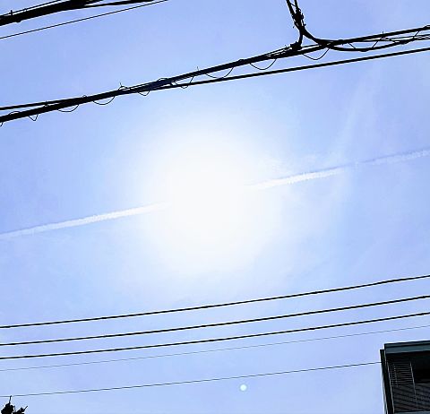 太陽と飛行機雲　実写の画像 プリ画像