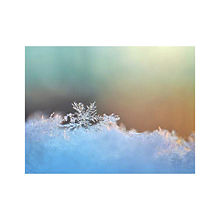 景色 雪 高画質の画像25点 完全無料画像検索のプリ画像 Bygmo