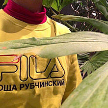 FILAFILAFILAFILAFILA｠の画像(plantに関連した画像)