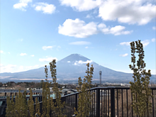 富士山の画像(富士山に関連した画像)