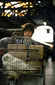 Harry Potter Daniel Radcliffeの画像(ha69nに関連した画像)
