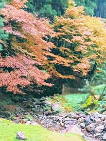 風景（渓流の秋）の画像(紅葉に関連した画像)