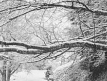 雪化粧の画像(冬 景色に関連した画像)