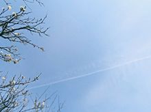 梅　青空　飛行機雲の画像(ひこうき雲に関連した画像)