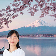 富士山の画像(観光に関連した画像)