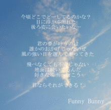 Funny Bunny の画像(funny bunny 歌詞に関連した画像)