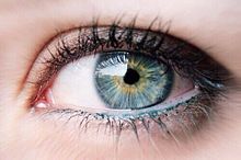 きれい 瞳の画像49点 4ページ目 完全無料画像検索のプリ画像 Bygmo