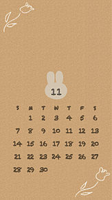 11月カレンダーの画像(ﾊﾟｽﾃﾙ かわいい 壁紙に関連した画像)