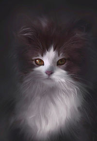 イラスト 子猫の画像72点 完全無料画像検索のプリ画像 Bygmo