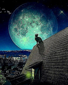 幻想的 月 猫の画像43点 完全無料画像検索のプリ画像 Bygmo