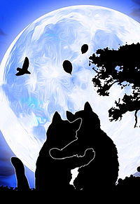 月夜 猫の画像111点 完全無料画像検索のプリ画像 Bygmo