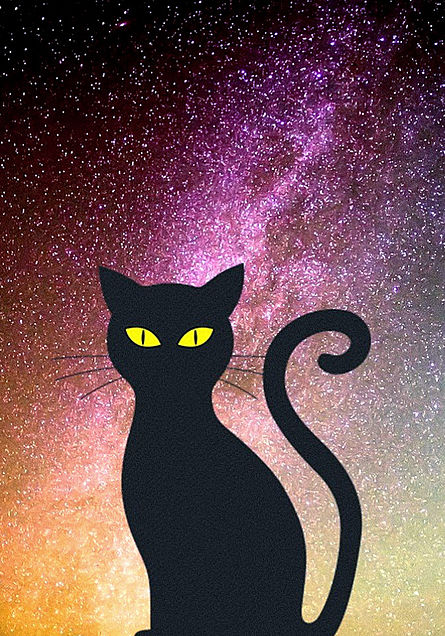 夜 黒猫の画像78点 完全無料画像検索のプリ画像 Bygmo
