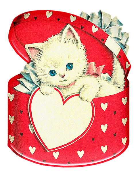 子猫のバレンタイン 完全無料画像検索のプリ画像 Bygmo