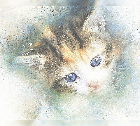 水彩 猫の画像2点 完全無料画像検索のプリ画像 Bygmo
