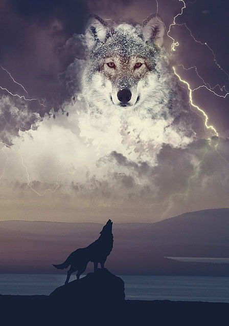 切ない 狼の画像21点 完全無料画像検索のプリ画像 Bygmo