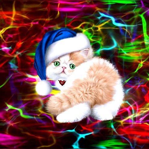 クリスマス 猫の画像304点 完全無料画像検索のプリ画像 Bygmo