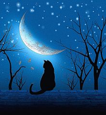 月夜の猫の画像(シルエットに関連した画像)