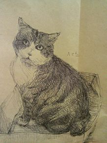 猫の画像(ペン画に関連した画像)
