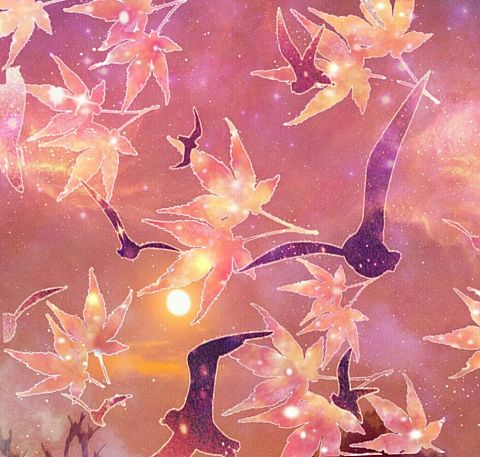 楓とカモメ 空の写真 宇宙柄の画像(プリ画像)