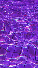 ビビットカラー 紫の画像35点 完全無料画像検索のプリ画像 Bygmo