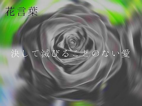 50 花 言葉 黒 薔薇 最高の花の画像