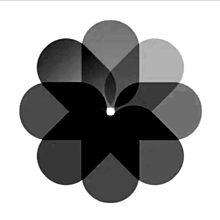 白黒 アプリ アイコンの画像(白黒に関連した画像)