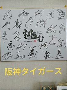 阪神タイガース サインの画像27点｜完全無料画像検索のプリ画像💓byGMO