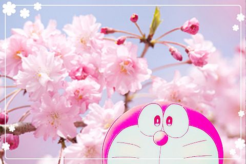 ドラえもん 桜の画像21点 完全無料画像検索のプリ画像 Bygmo