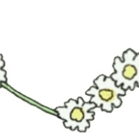 ハートのお花の画像(プリ画像)