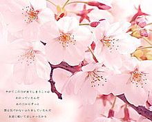 卒業サヨナラの画像(桜 花びらに関連した画像)