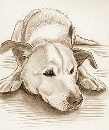 犬 鉛筆画の画像6点 完全無料画像検索のプリ画像 Bygmo
