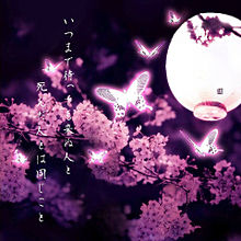 おすすめポイント 夜桜の蝶様専用！　確認画像 知育玩具