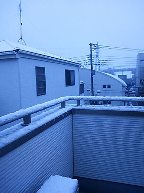 雪だー＼(*⌒0⌒)♪の画像(プリ画像)
