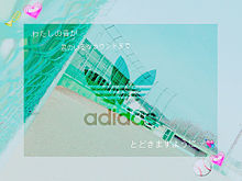 保存で画質UP！！の画像(adidas  壁紙に関連した画像)