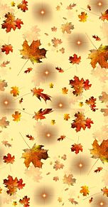秋  晩秋  秋色  楓  カエデ  落ち葉の画像(落ち葉に関連した画像)