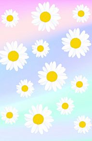 デイジー 壁紙 花の画像117点 完全無料画像検索のプリ画像 Bygmo