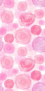 バラ ピンク 壁紙の画像379点 完全無料画像検索のプリ画像 Bygmo