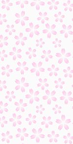 背景 花柄 ピンクの画像127点 完全無料画像検索のプリ画像 Bygmo