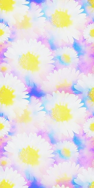デイジー 花の画像484点 完全無料画像検索のプリ画像 Bygmo