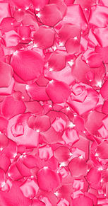 ローズペタル  花びら  フラワーの画像(大人かわいいに関連した画像)
